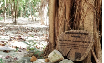 placa conmemorativa funerario bosques de paz